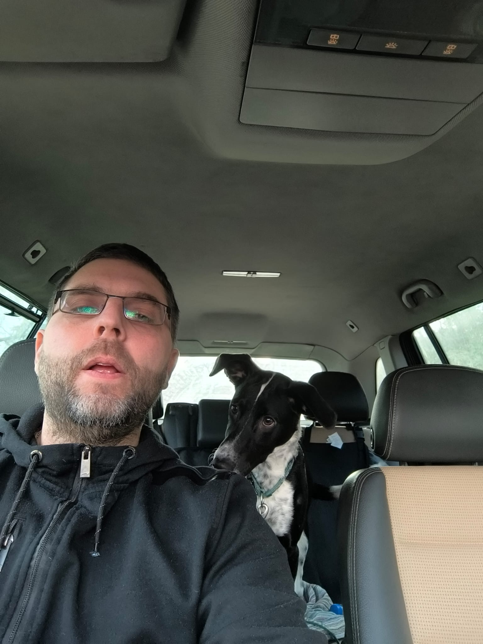 Goran i pas putnik u autu